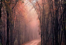 熊猫体育：2025中国自由式小轮车联赛启动 赛事焕新升级2025-03-13.