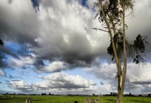 熊猫体育：2025年全国春季游泳锦标赛：孙杨晋级男子400米自由泳决赛.