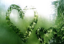 熊猫体育：2025中国自由式小轮车联赛启动 赛事焕新升级2025-03-13.