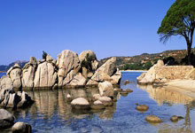 熊猫体育：2025石家庄马拉松赛鸣枪开跑 3.5万名选手参赛2025-04-01.